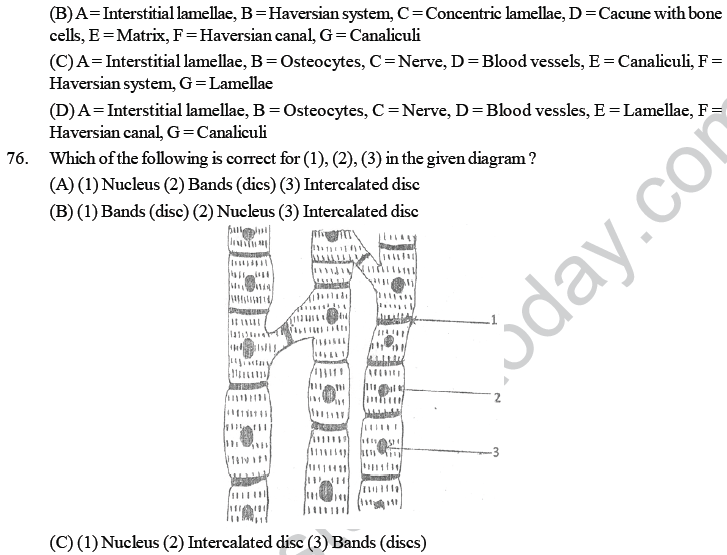 NEET UG Biology Animal Tissue MCQs, Multiple Choice Questions